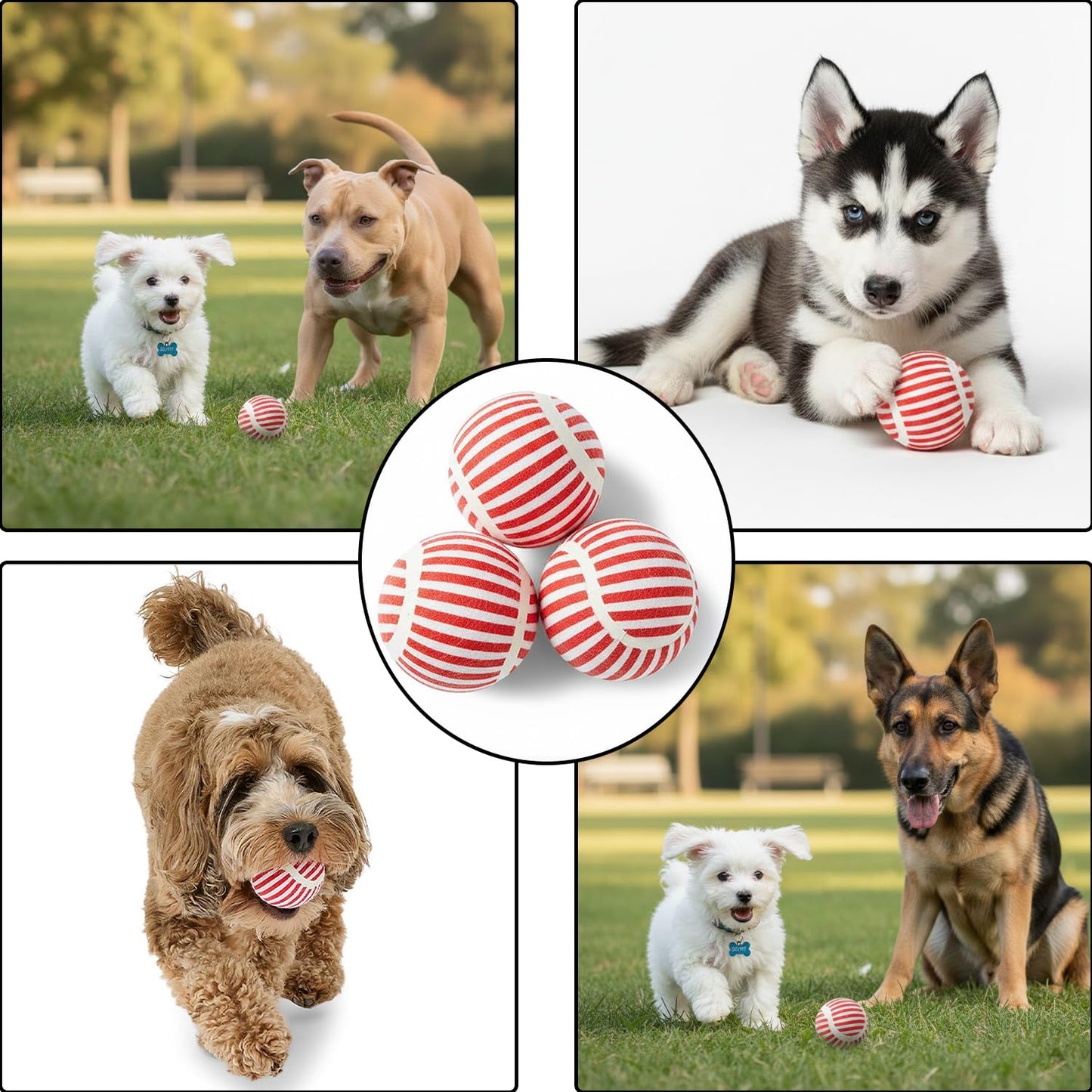 Squeaky Tennis Balls for Dogs & Cats