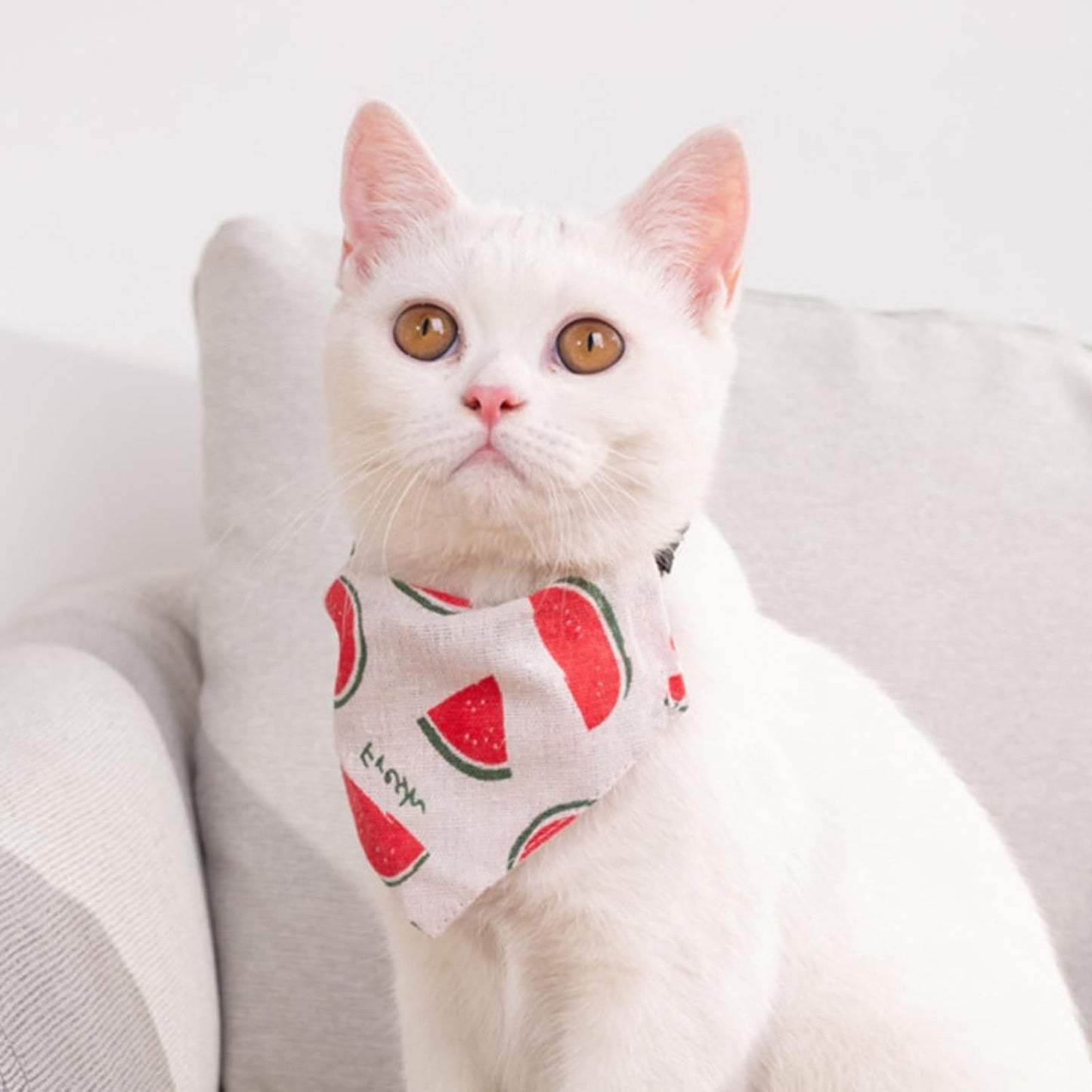 Adjustable Pet Collar with Slobber Towel (WATREMELON)