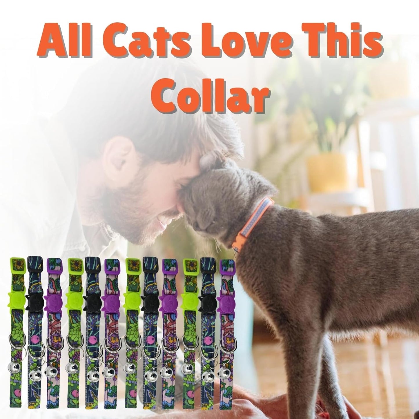 Cat Collars with Bell