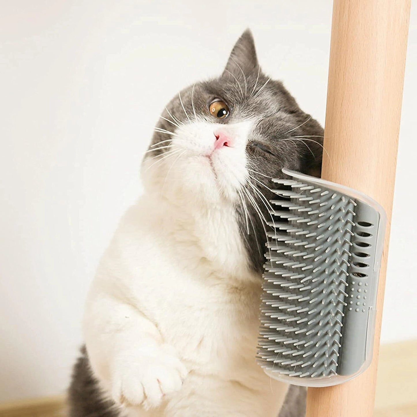 Self Grooming Cat Brush Holder
