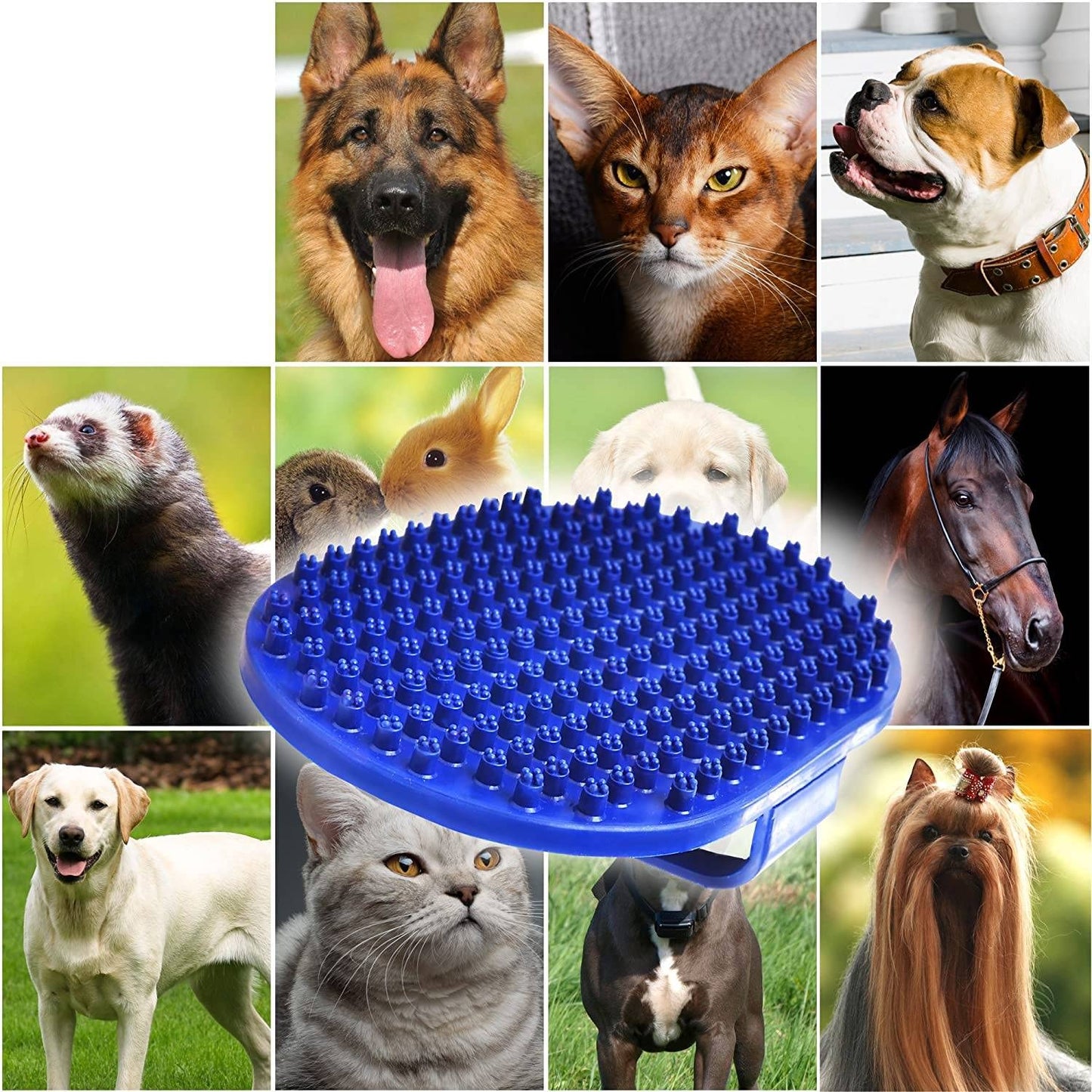 Blue Dog Bath Grooming Brush