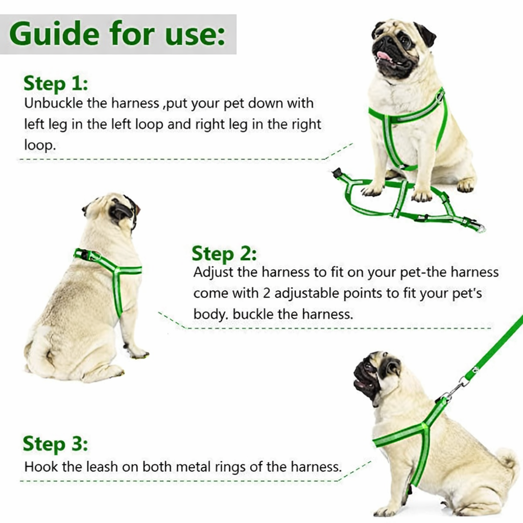 Green Reflective No-Pull Harness Set
