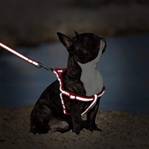 Nylon Reflective Dog Harness Leash Set