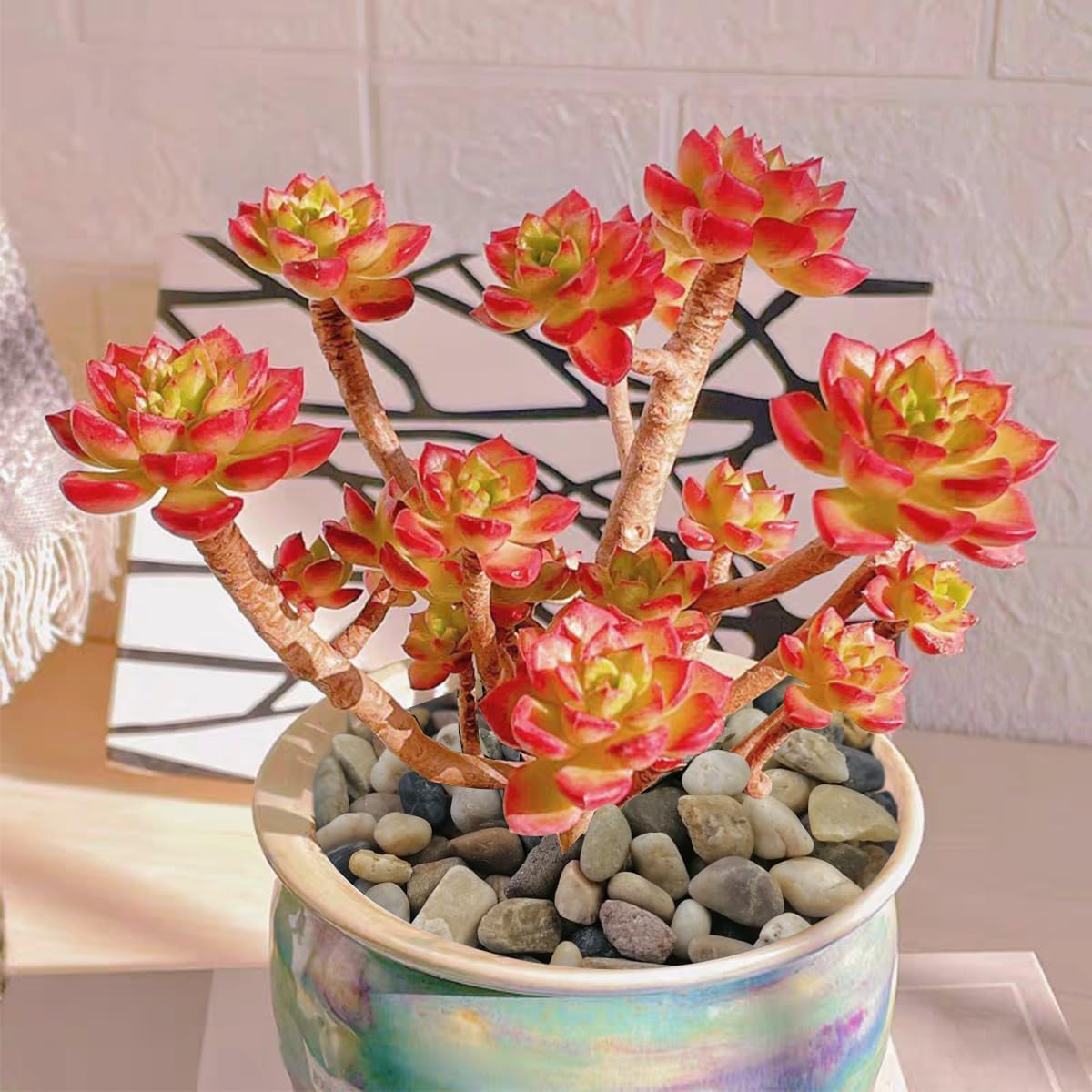 Decorative River Stones for Aquarium (0.4-0.8 cm)-1KG