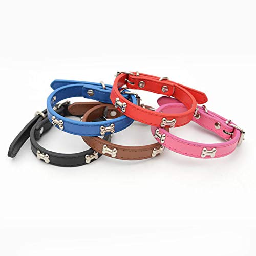 Adjustable Dog Collar with Metal Studs, Blue