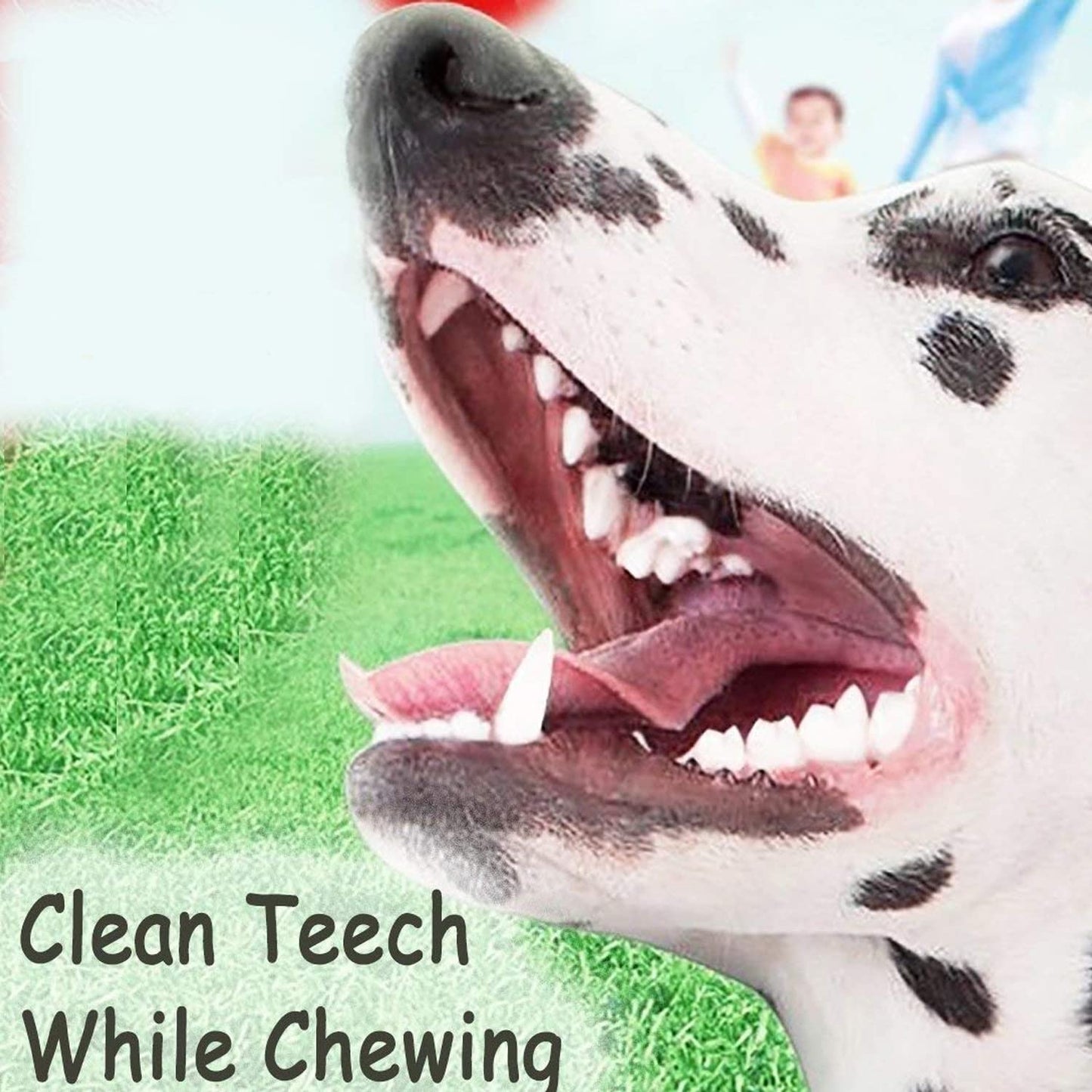 Heavy Duty Dog Rope Tug Toy