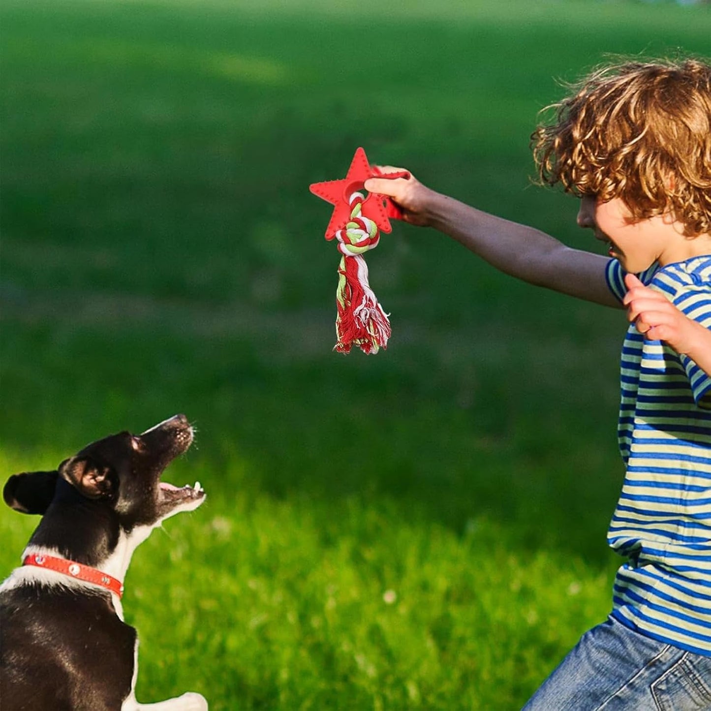 Dog Oral Care Rope Toy