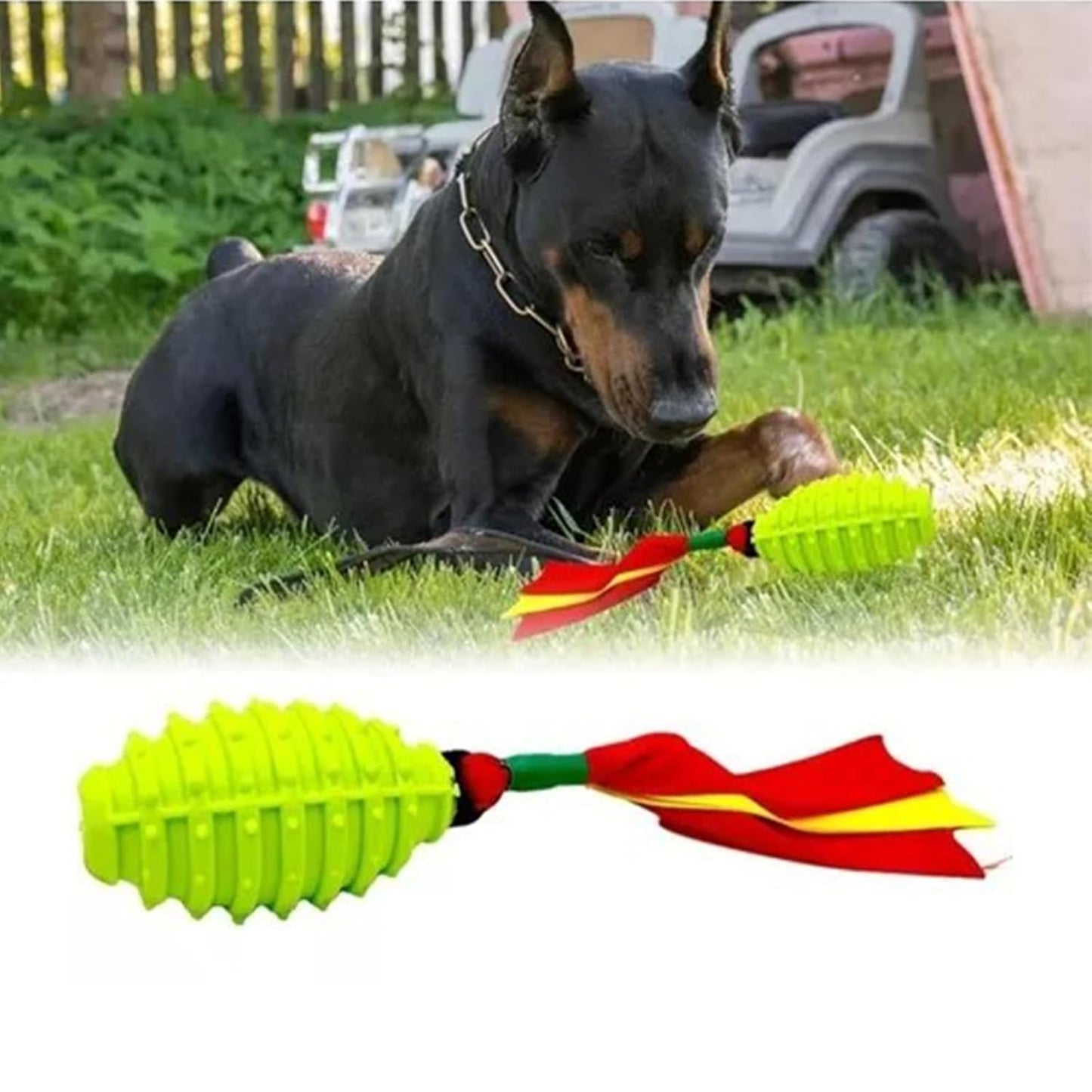 Squeaker Rope Tug Dog Toy