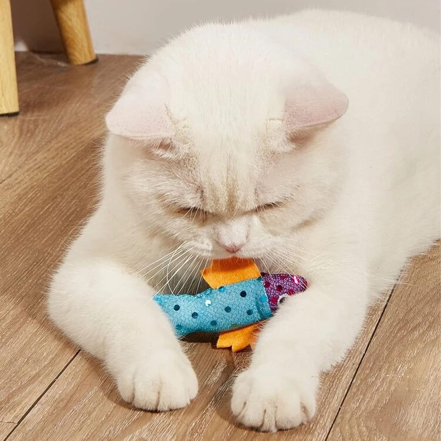 Plush Fish Cat Toy Set
