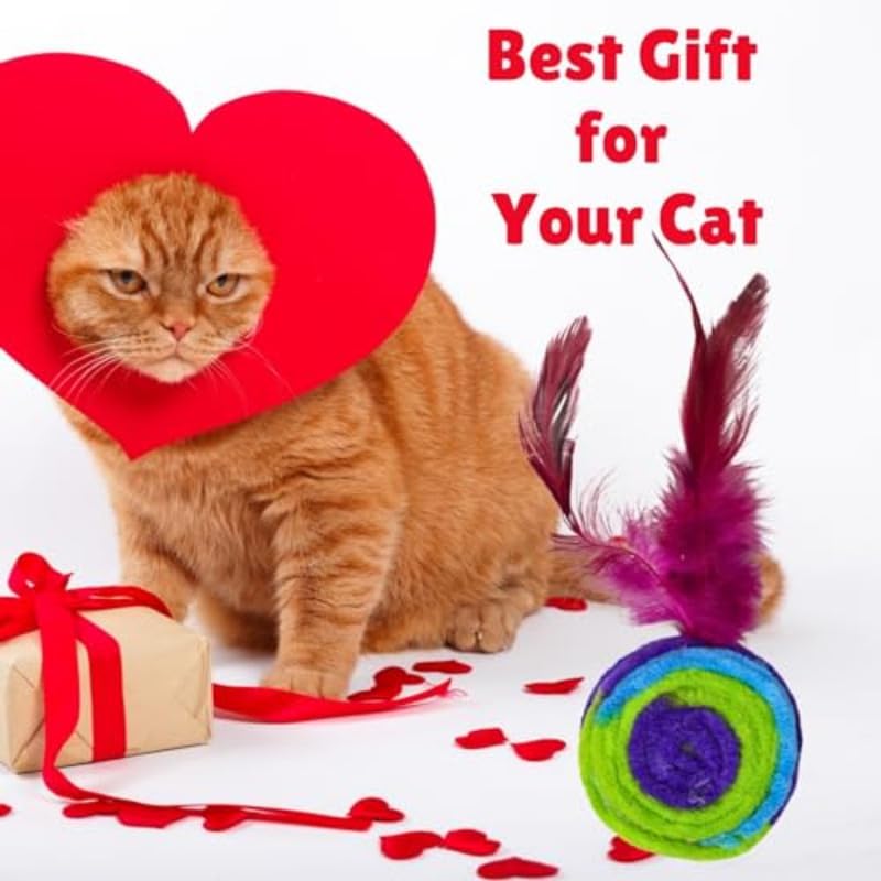 Rainbow Feather Bell Cat Toys 2 pcs