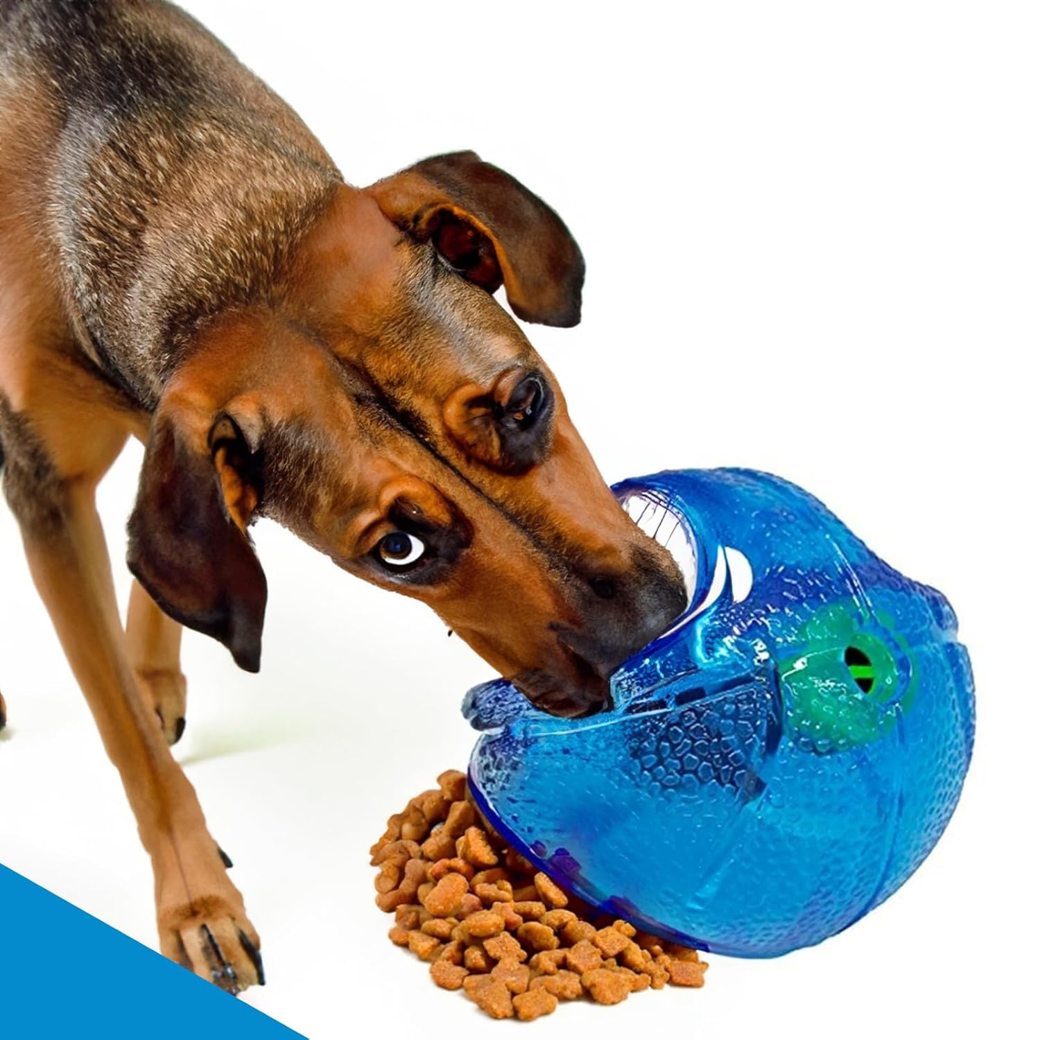 Dog Toys IQ Treat Ball