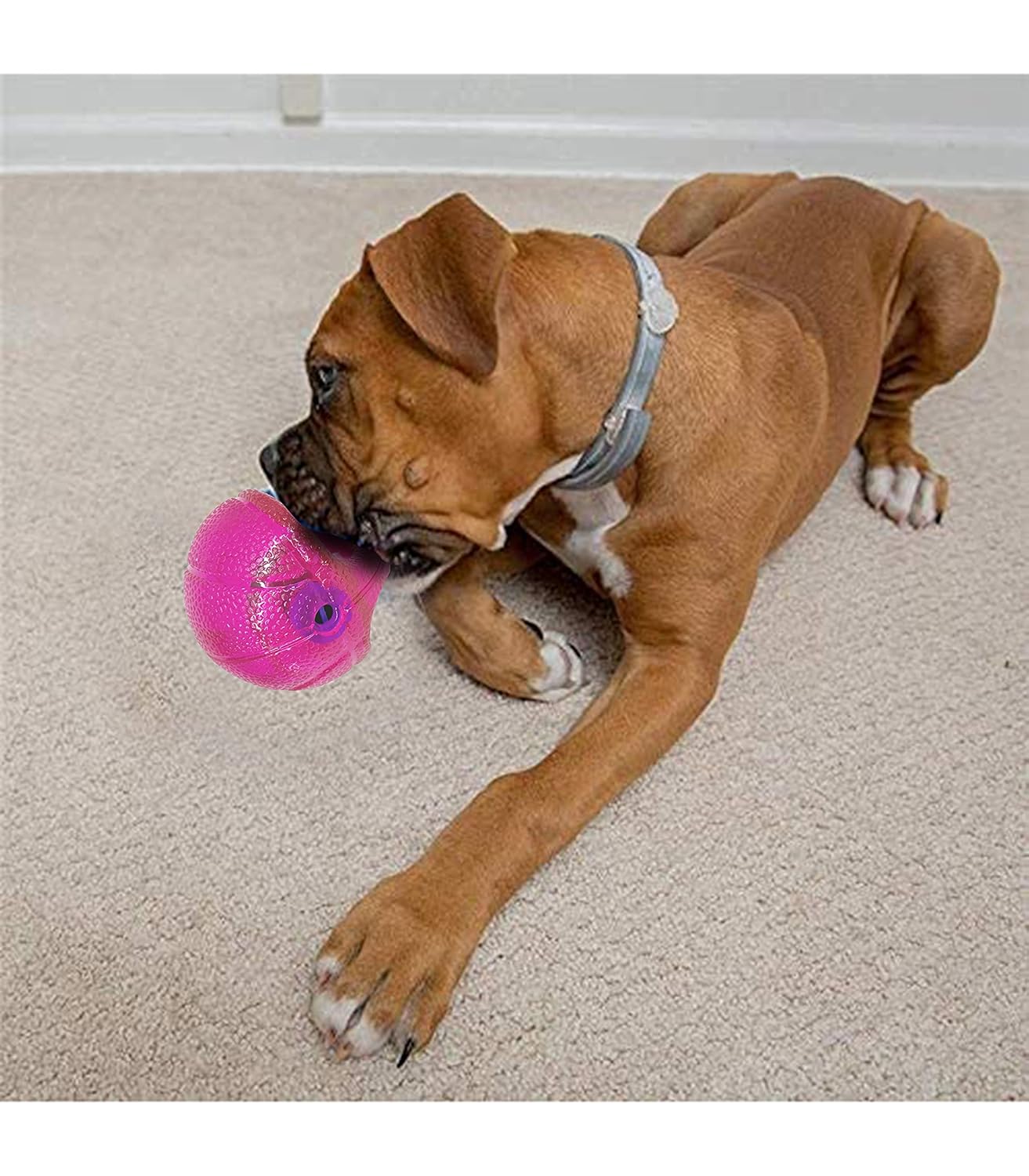 Dog Toys IQ Treat Ball