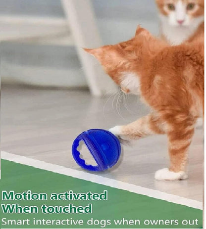 Dog Toys IQ Treat Ball