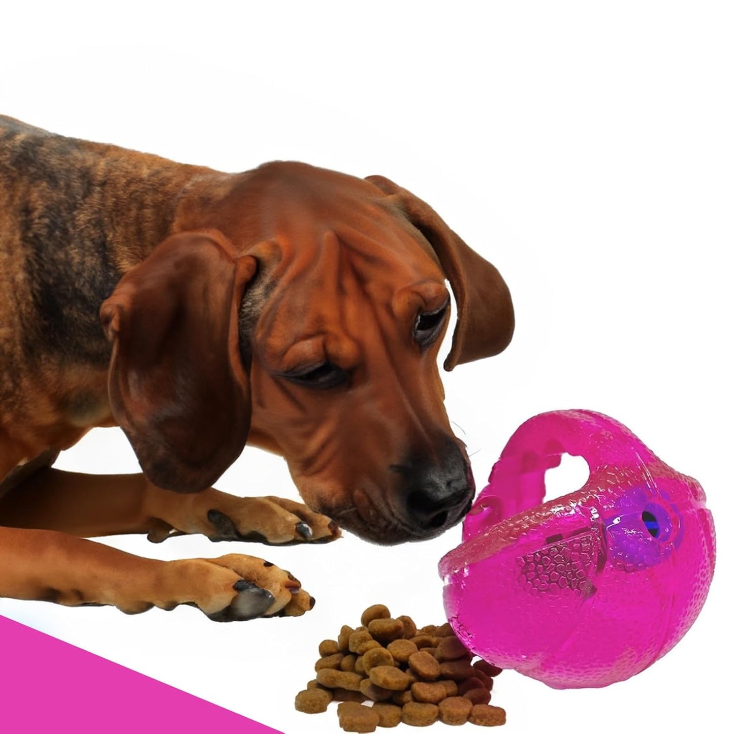 Dog Toys IQ Treat Ball