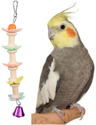 Chew Toy with Bell for Bird