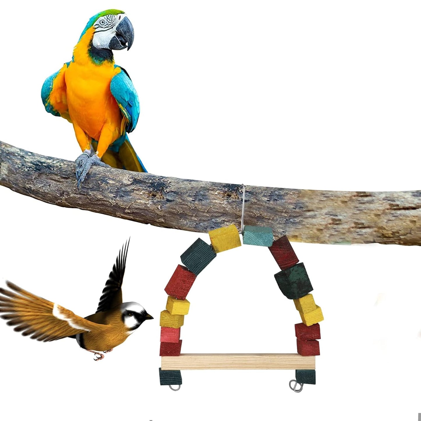 Bird Swing & Chew Toys – Hanging  Toys