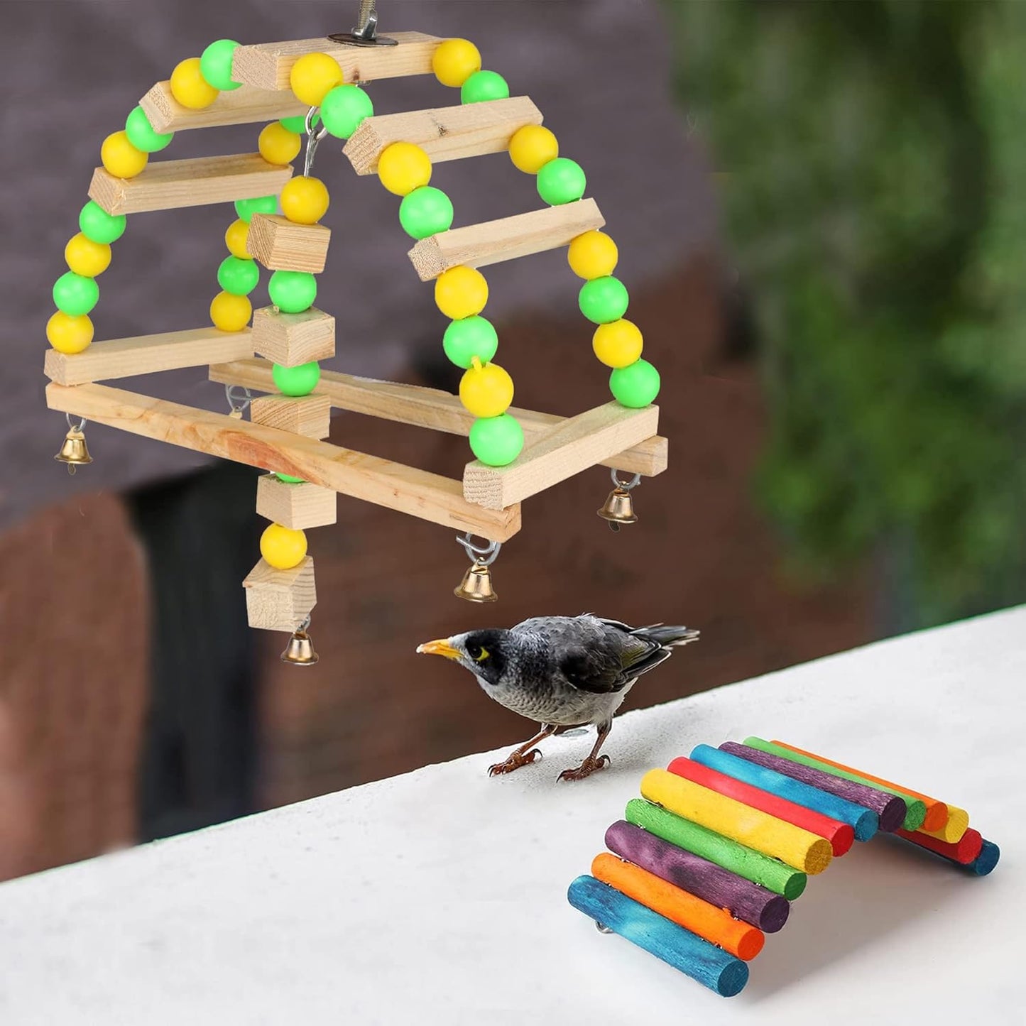 Hanging Bird Swing Toy – Cage Chew & Play Toy