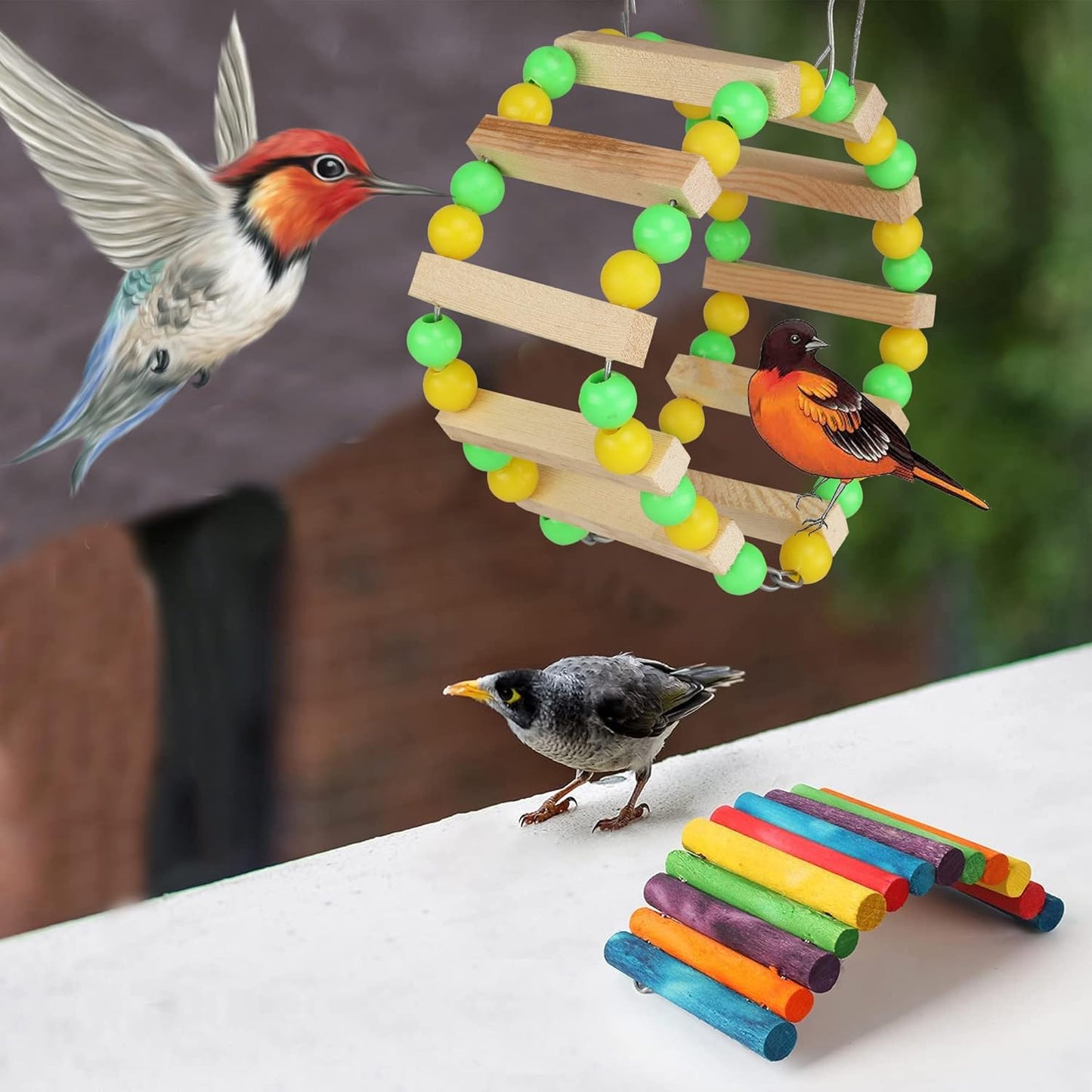 Bird Swing & Chew Toys – Hanging Toys