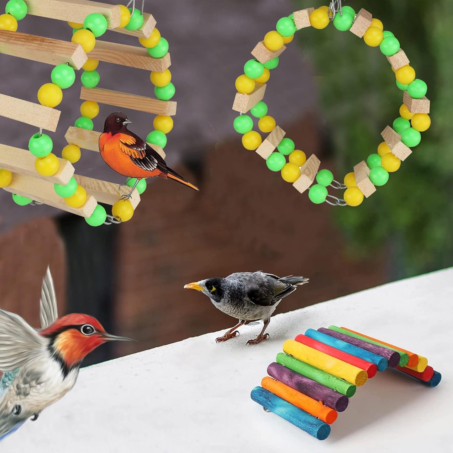 Bird Swing & Chew Toys – Hanging Toys