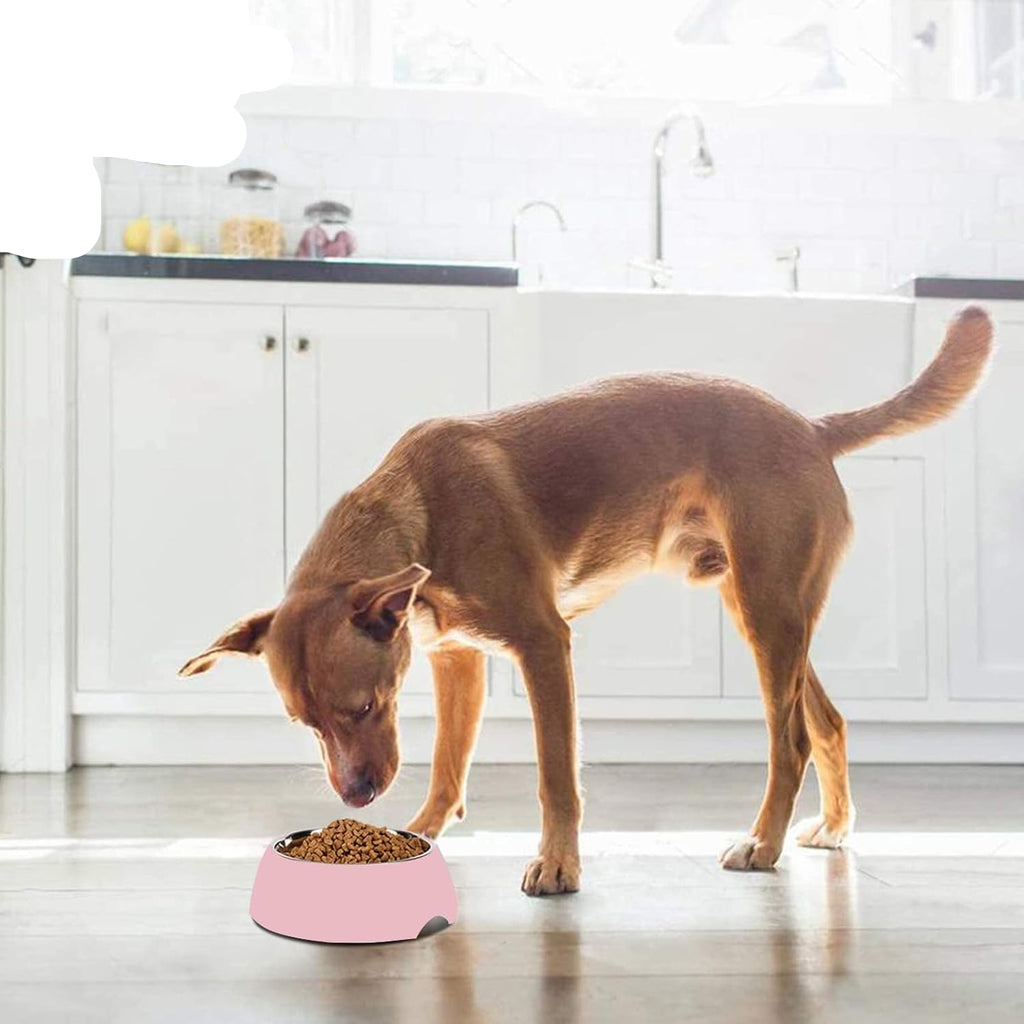Cat Bowl  Premium Melamine 2-in-1 Pet Bowl