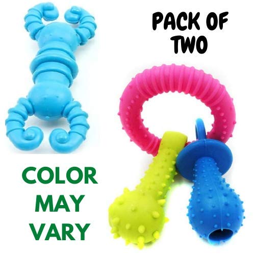 Dog Rubber Chew Toy Combo