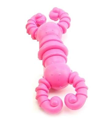 Puppy Rubber Chew Toys Pack