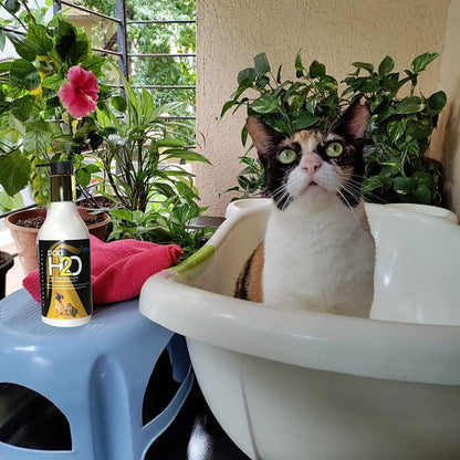 Anti-Tick Neem Aloe Dog Shampoo