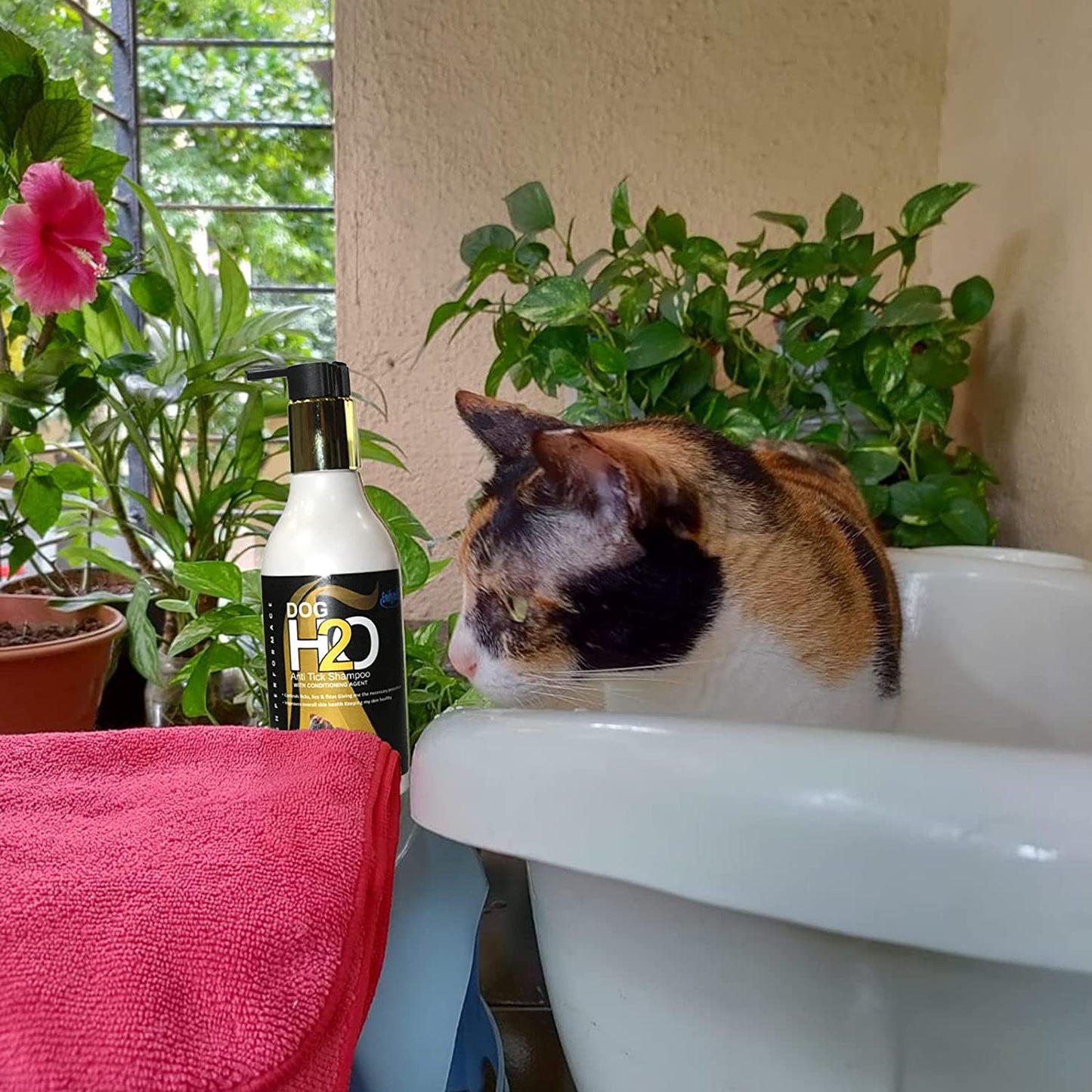 Anti-Tick Neem Aloe Dog Shampoo