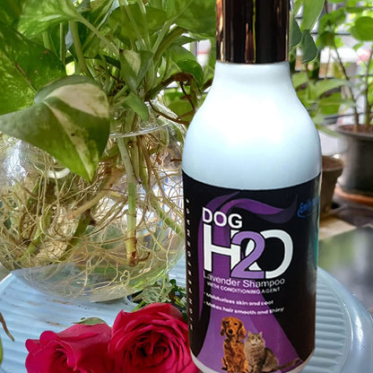 Anti-Tick Lavender based Dog Shampoo