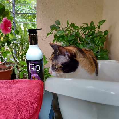 Anti-Tick Lavender based Dog Shampoo