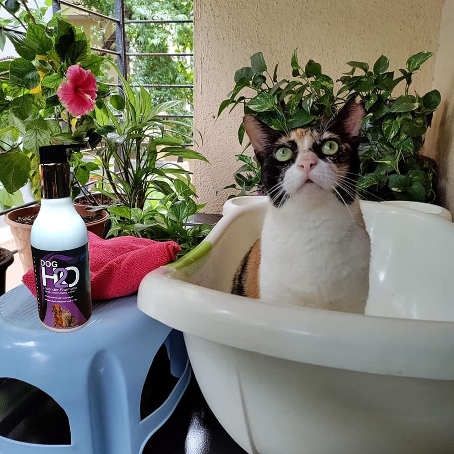 Anti-Tick Lavender based Dog Shampoo