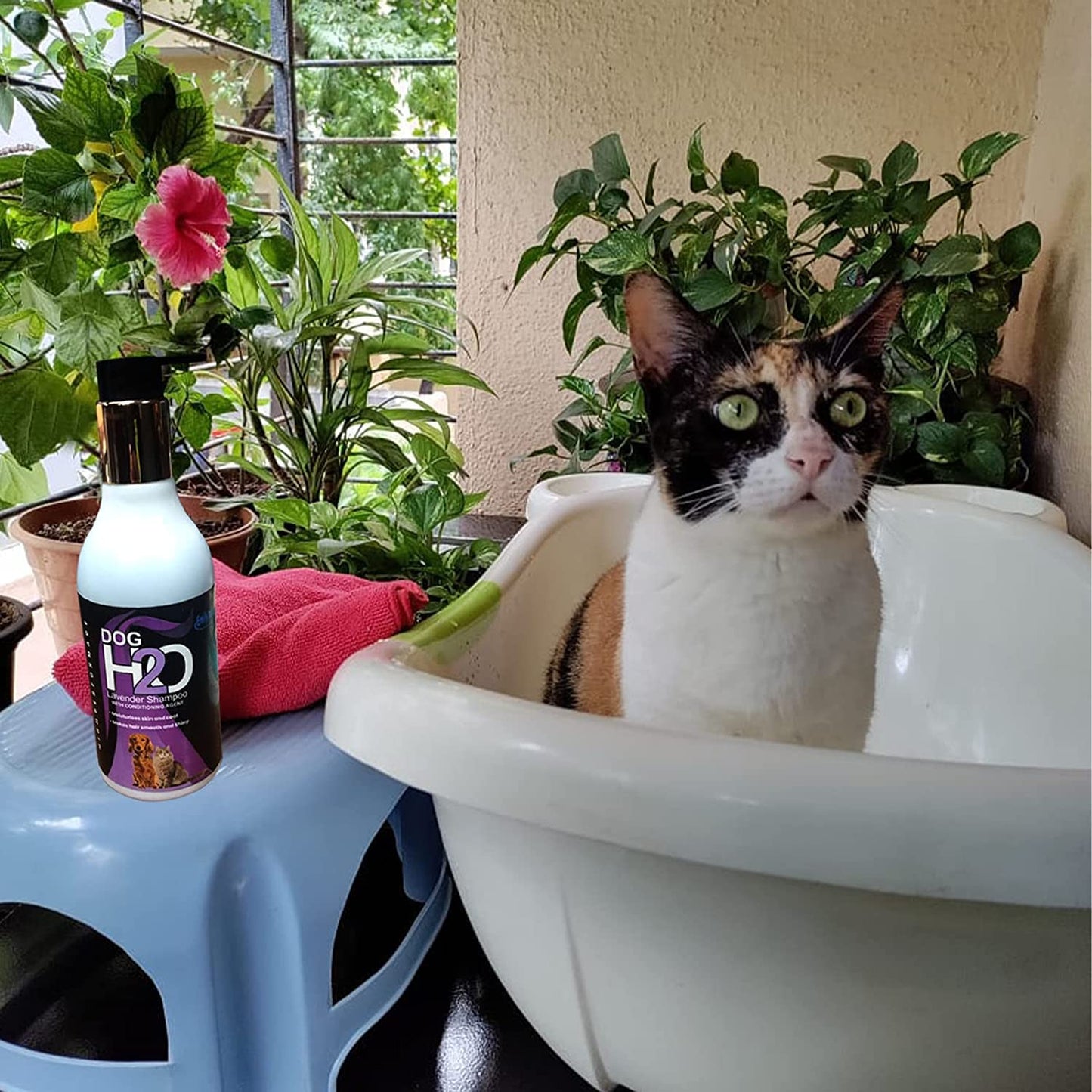 Anti-Tick Lavender based Dog Shampoo