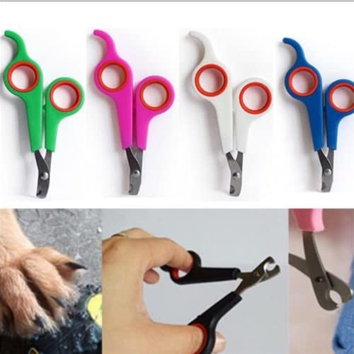 Blue Pet Grooming Nail Scissor
