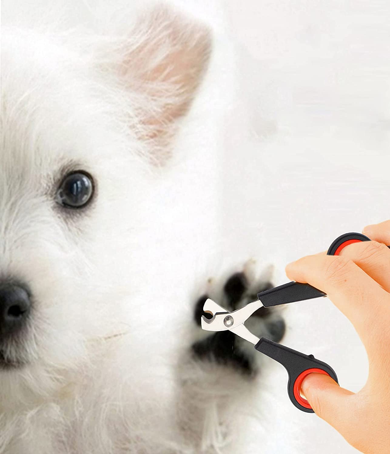 Puppy Nail Clippers Claw Cutters for Dog Cat