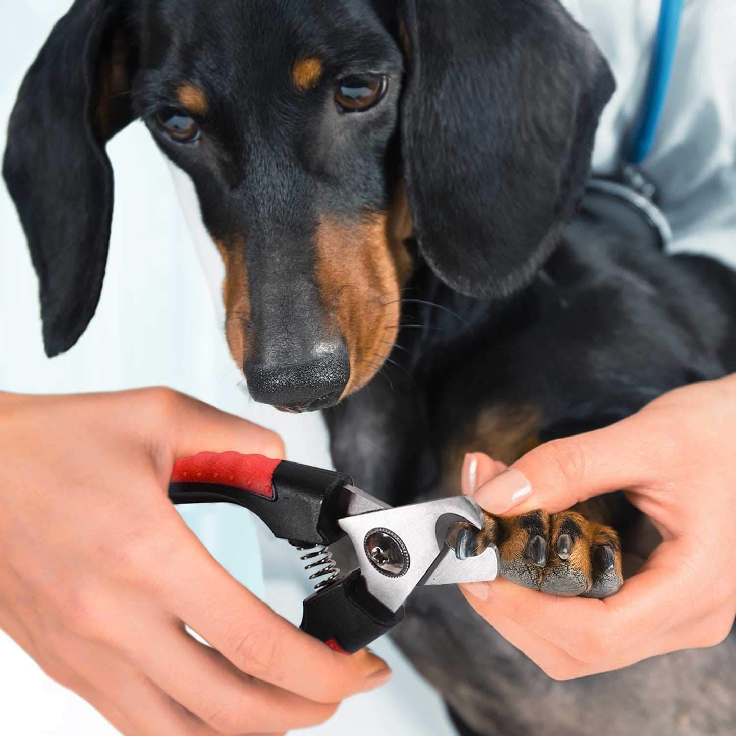 Emily Pets Nail Clipper Set
