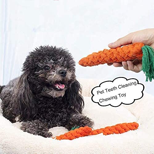 Carrot Cotton Rope Chew Toy for Dogs
