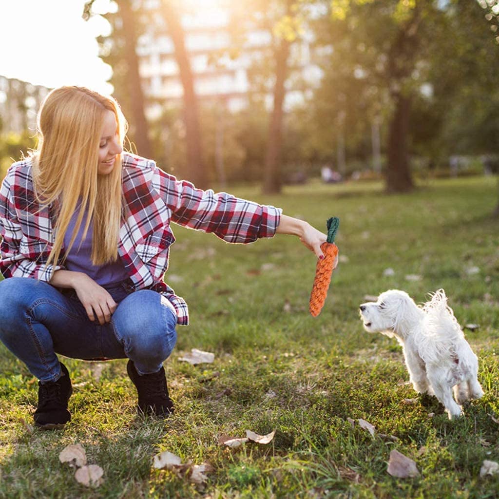 Carrot Cotton Rope Chew Toy for Dogs
