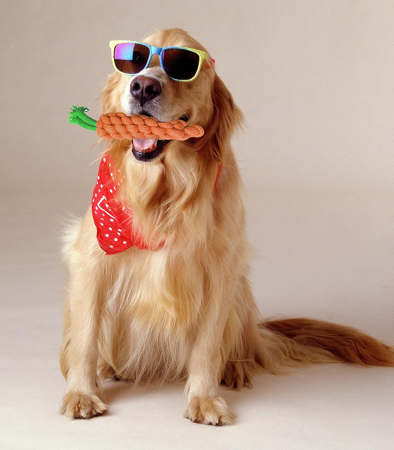 Carrot Cotton Rope Chew Toy for Dogs