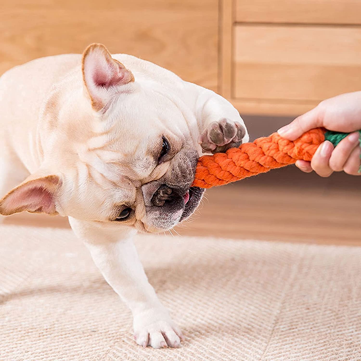 Carrot Cotton Rope Chew Toy for Dogs