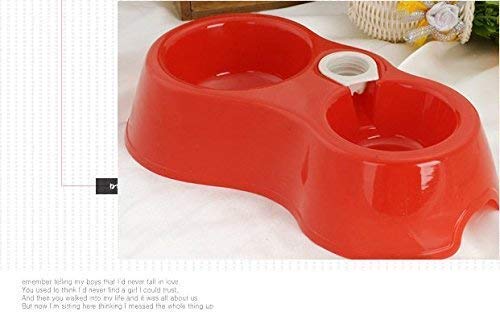 Red Double Pet Feeding Bowl
