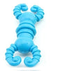 Blue Rubber Chew Bone Toy