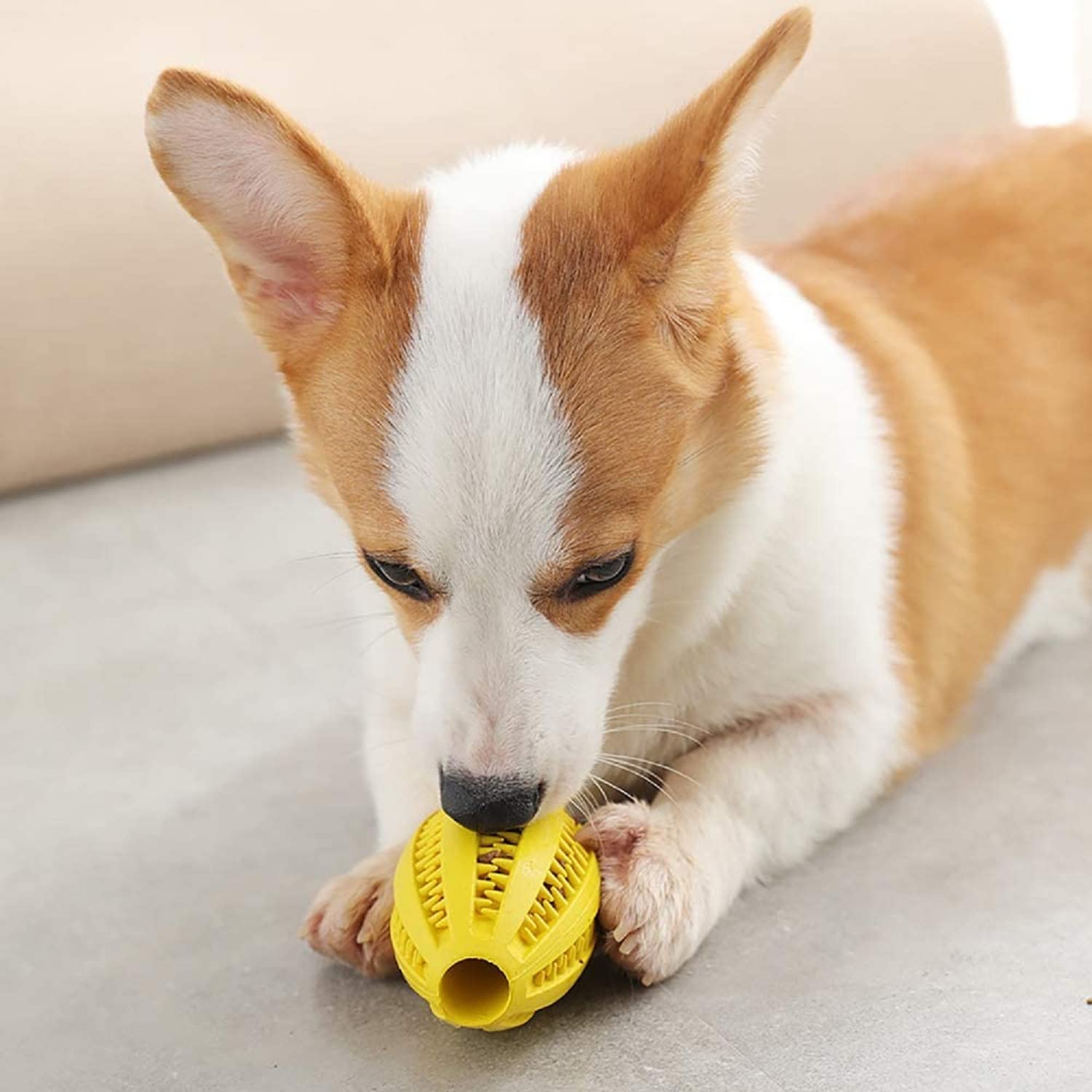 Dog Interactive Ball for Dog Teeth Cleaning