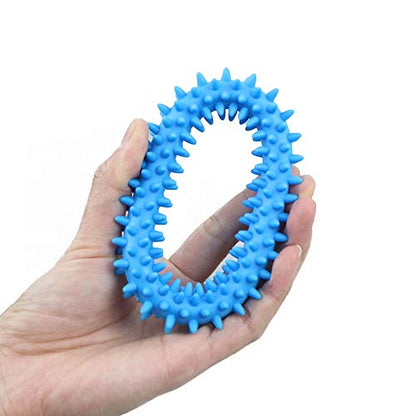 Blue Spiky Ring Dog Toy