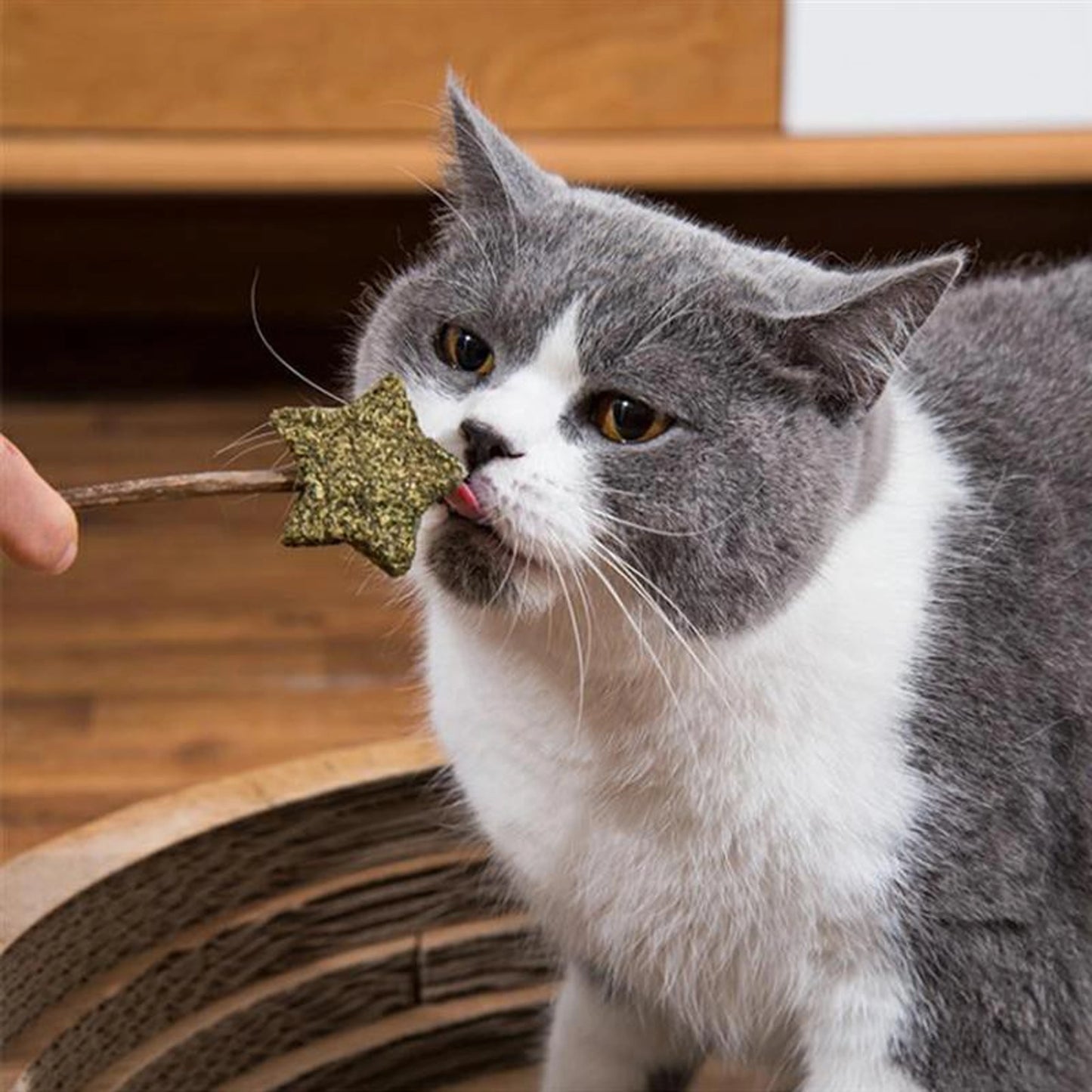 Star Shape Catnip Chew Toy