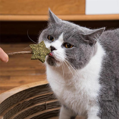 Star Shape Catnip Chew Toy