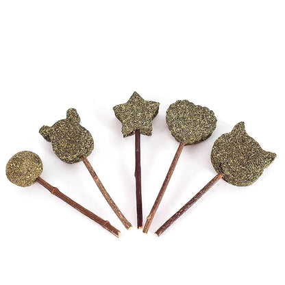 Star Shape Catnip Chew Toy