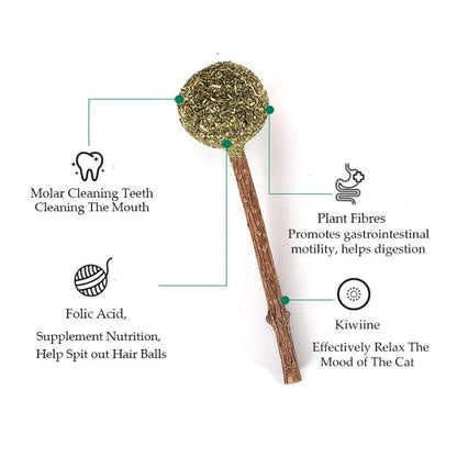 Star Shape Catnip Chew Toy