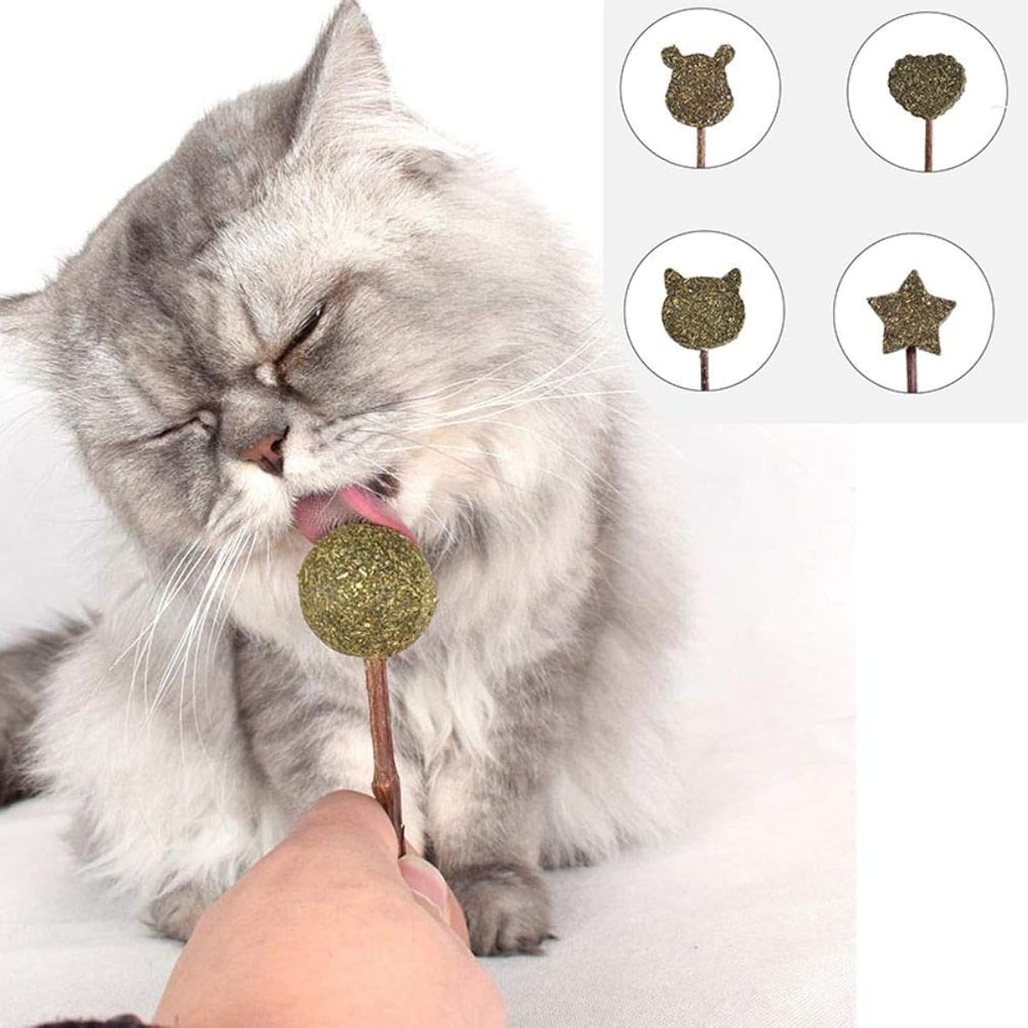 Star Shape Catnip Chew Toy