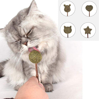 Star Shape Catnip Chew Toy