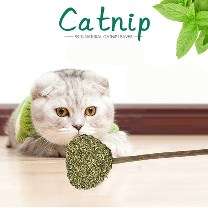Star Shape Catnip Chew Toy